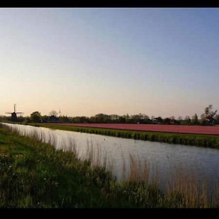 Cozy Chalet In Opmeer Near Amsterdam And Beach Zewnętrze zdjęcie